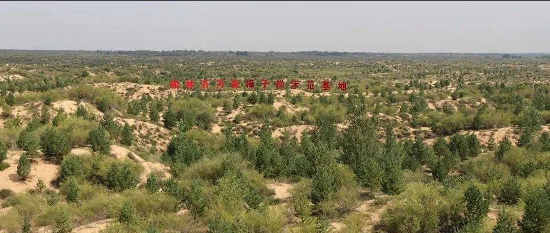 屏幕截图 2023-10-14 175539.jpg